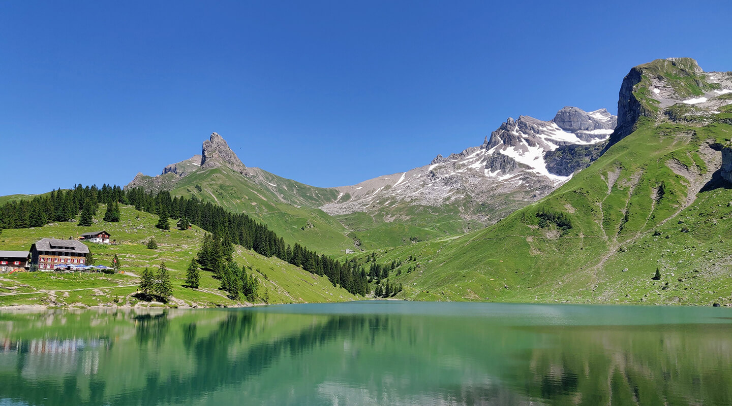Wild Nature Switzerland